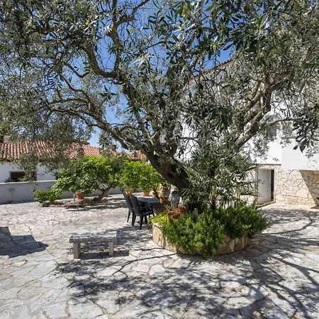 With Wifi Basanija, Umag - 27839